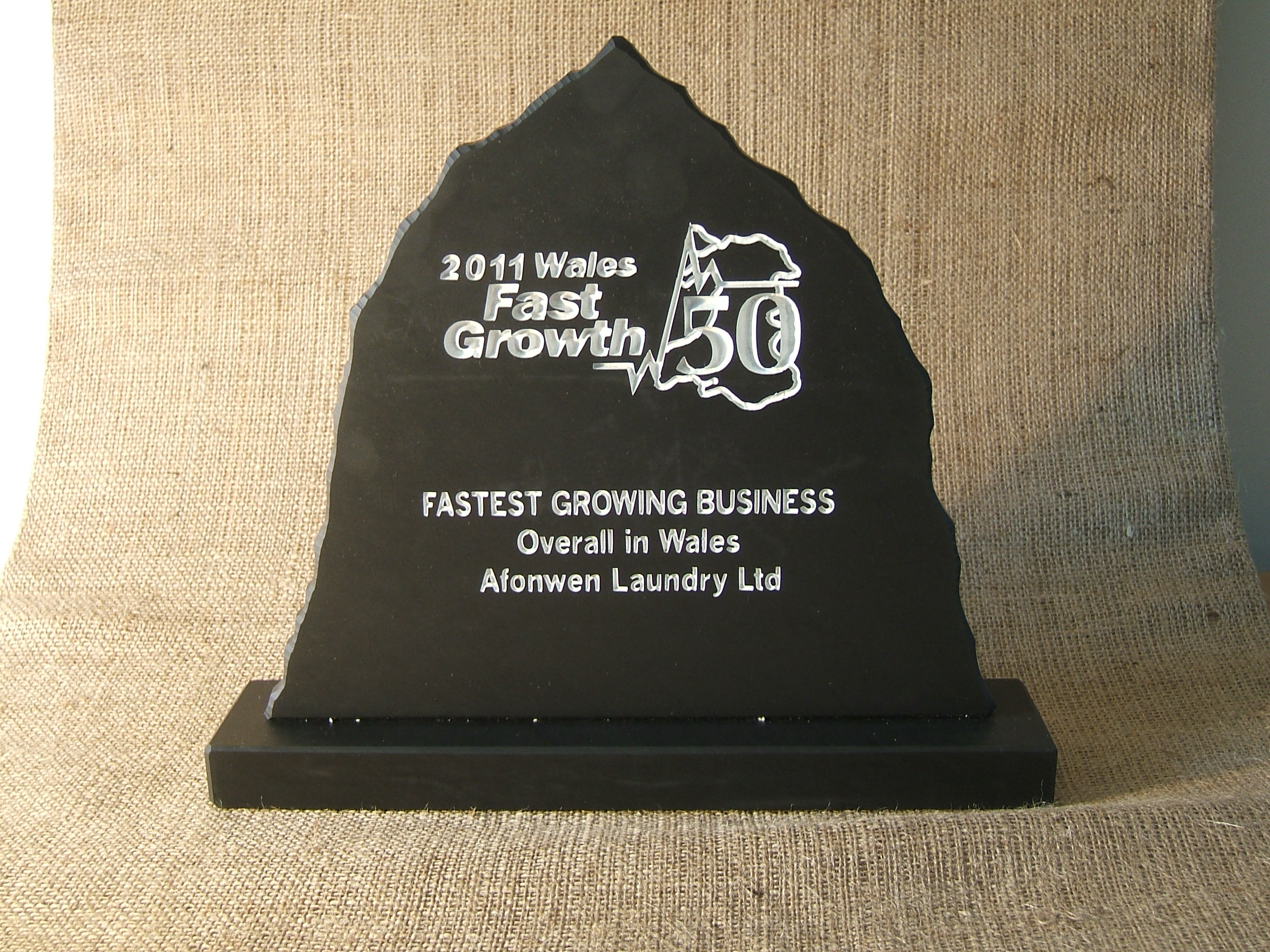 FAST GROWTH 2011 AWARDS